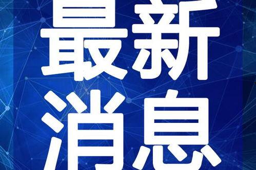 涡阳丑事爆料视频最新,揭秘惊人内幕，引发社会热议