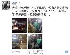 大渡口最新爆料信息网,揭秘城市热点事件背后的真相